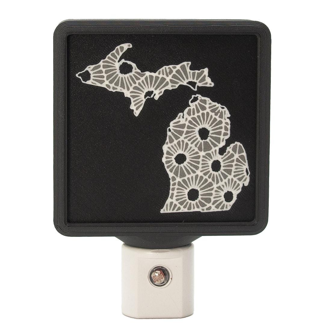 Lithophane Petoskey Stone Michigan Night Light – Lake House Decor