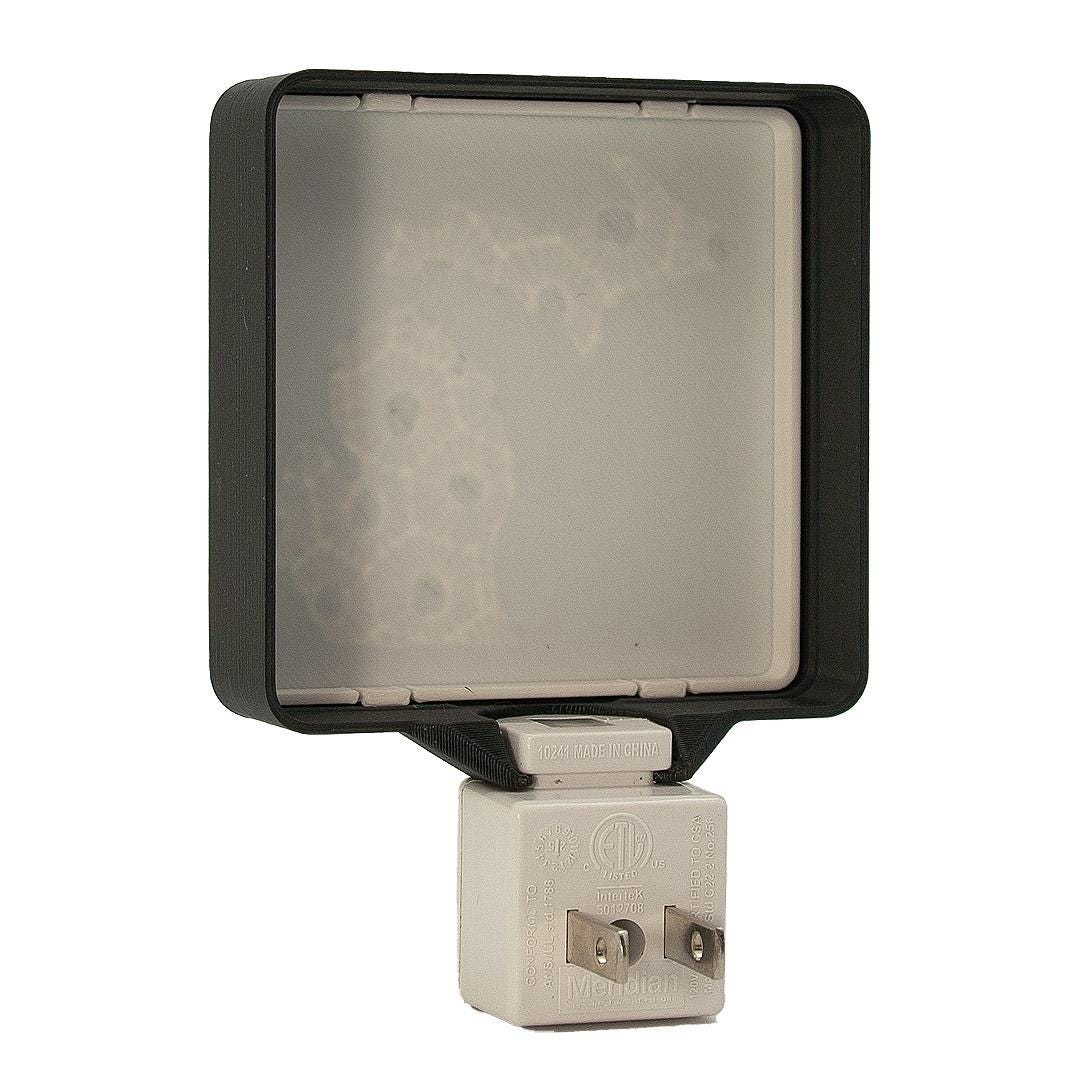 Lithophane Petoskey Stone Michigan Night Light – Lake House Decor