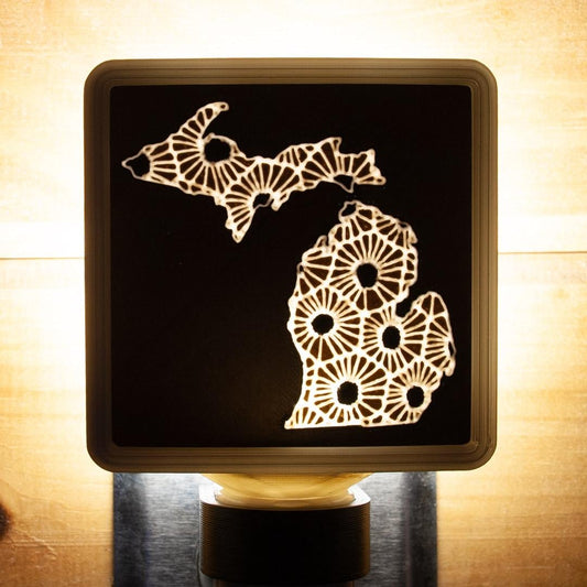 Petoskey Stone Michigan Night Light – Lake House Decor