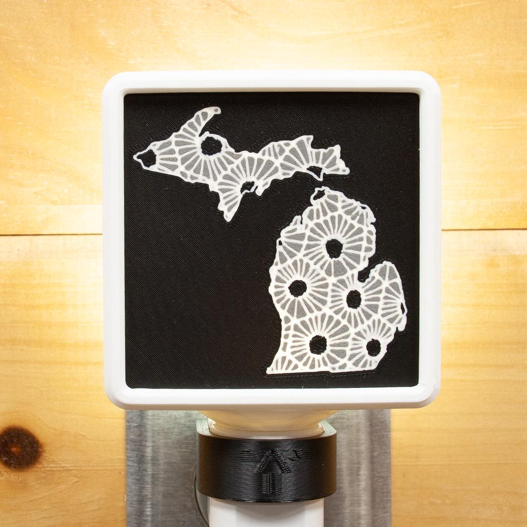 Lithophane Petoskey Stone Michigan Night Light – Lake House Decor